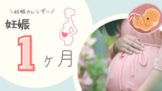 妊娠1ヶ月（0～3週）胎児の成長、ママの体の変化